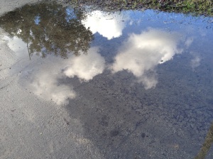 Puddle2.smaller